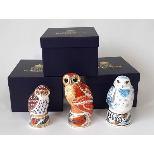 1134 - Three Royal Worcester Candle Snuffers comprising Tawny Owl, Little Owl and Snowy Owl, all in origina... 