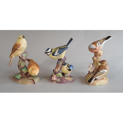 1119 - Six Royal Worcester figures, each a pair of perching garden birds comprising Blue Tits, Woodpeckers,... 