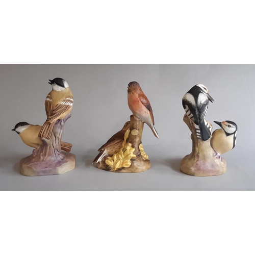 1119 - Six Royal Worcester figures, each a pair of perching garden birds comprising Blue Tits, Woodpeckers,... 