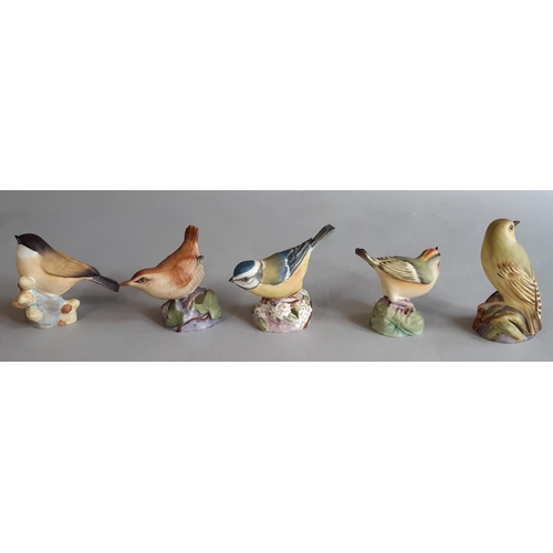 1126 - Eleven Royal Worcester figures of small garden birds comprising Goldfinch, Robin, Gold Crest, Bullfi... 