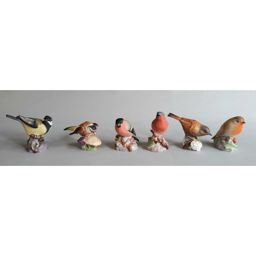 1126 - Eleven Royal Worcester figures of small garden birds comprising Goldfinch, Robin, Gold Crest, Bullfi... 