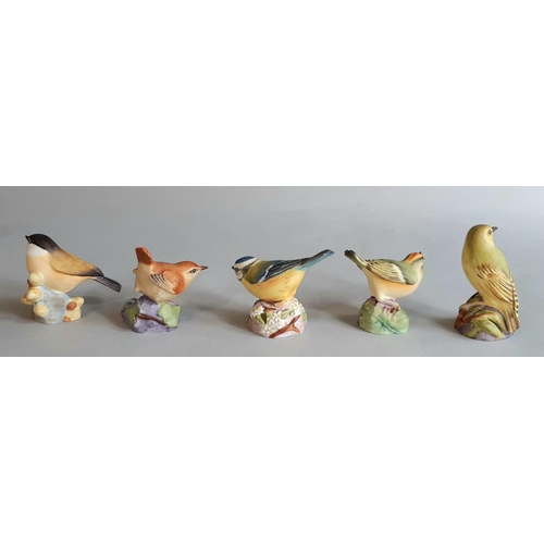 1126 - Eleven Royal Worcester figures of small garden birds comprising Goldfinch, Robin, Gold Crest, Bullfi... 