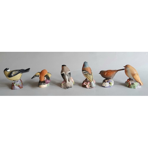 1126 - Eleven Royal Worcester figures of small garden birds comprising Goldfinch, Robin, Gold Crest, Bullfi... 