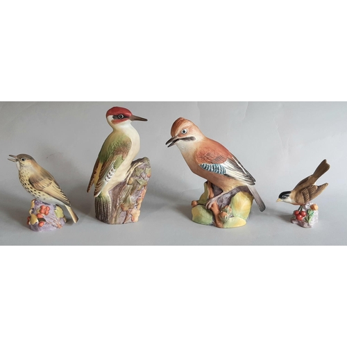 1132 - Twelve Royal Worcester figures of British and American birds in various sizes comprising Jay, Woodpe... 