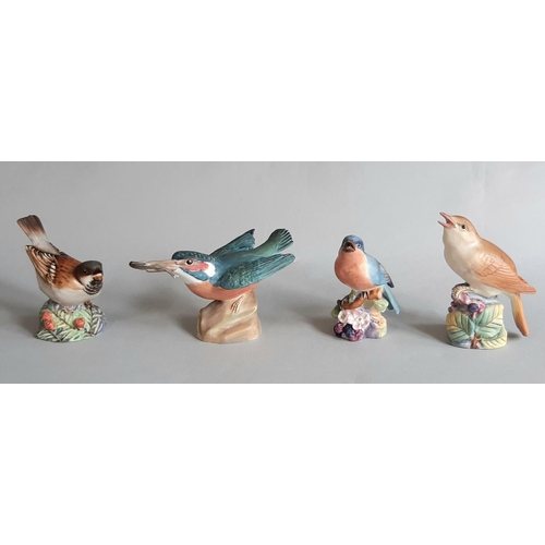 1132 - Twelve Royal Worcester figures of British and American birds in various sizes comprising Jay, Woodpe... 