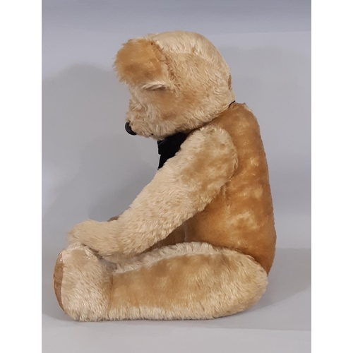 399 - Large Teddy Bear, mid 20th century, by Chad Valley with thick gold plush, jointed body, velveteen pa... 