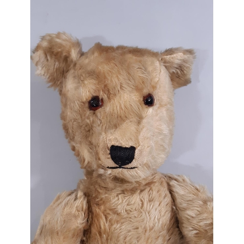 397 - Mid 20th century Teddy Bear probably a Chiltern Hug-mee bear, with golden mohair, velveteen paw pads... 