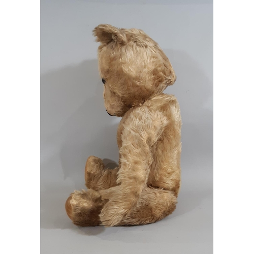 397 - Mid 20th century Teddy Bear probably a Chiltern Hug-mee bear, with golden mohair, velveteen paw pads... 