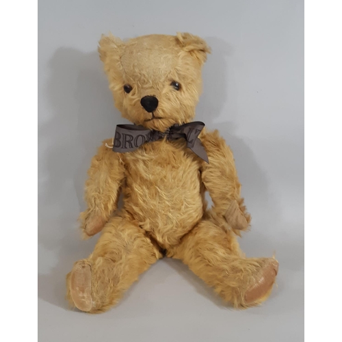 398 - 1950s Teddy Bear by Pedigree with golden plush,  jointed body, moulded plastic black nose, stitched ... 