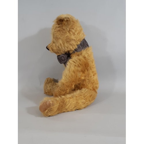 398 - 1950s Teddy Bear by Pedigree with golden plush,  jointed body, moulded plastic black nose, stitched ... 