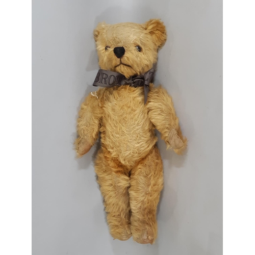 398 - 1950s Teddy Bear by Pedigree with golden plush,  jointed body, moulded plastic black nose, stitched ... 