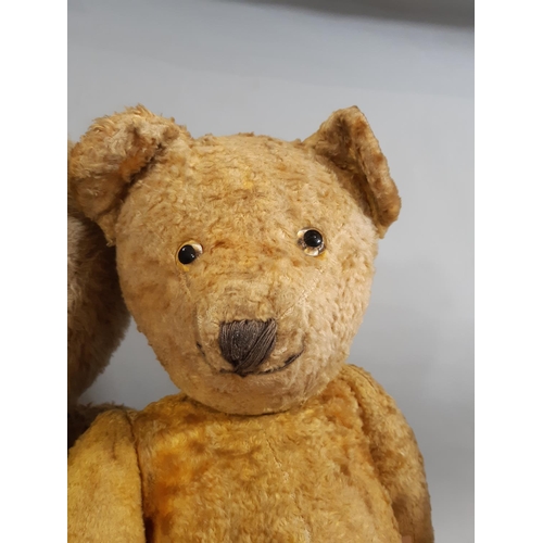 402 - 3 vintage teddy bears including a bear with short golden plush, stitched nose, mouth and claws, clot... 