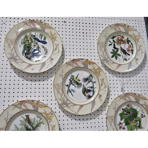 1131 - A set of eight Royal Worcester wall plates, the JJ Audubon birds of America series, limited edition ... 