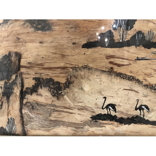 107 - Two 20th century West Australian Aboriginal paintings on tree bark, monochrome pigments and burnt tr... 