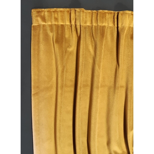 1822 - 2 pairs of extra long gold coloured velour curtains, unlined with pencil pleat heading. Length 3.25m... 