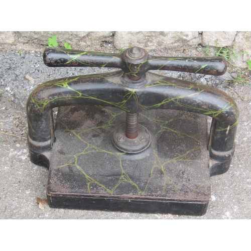 A small antique cast iron book press of usual form with central screw thread and decorative marbled/veined finish, 40 cm x 26 cm x 30 cm in height approximately