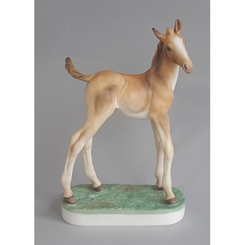 1150 - Royal Worcester Limited Edition Thoroughbred Foal modelled by Doris Lindner, 1980, no 10. Height 17.... 