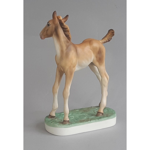 1150 - Royal Worcester Limited Edition Thoroughbred Foal modelled by Doris Lindner, 1980, no 10. Height 17.... 