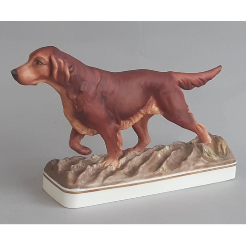 1152 - Royal Worcester Sporting Dog Series Irish Setter and English Pointer, modelled by Doris Lindner 1975... 