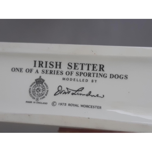 1152 - Royal Worcester Sporting Dog Series Irish Setter and English Pointer, modelled by Doris Lindner 1975... 