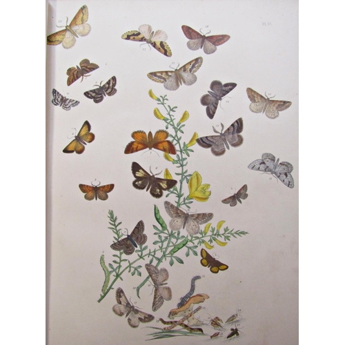 205 - British Butterflies & Their Transformations together with two volumes of British Moths & Their Trans... 