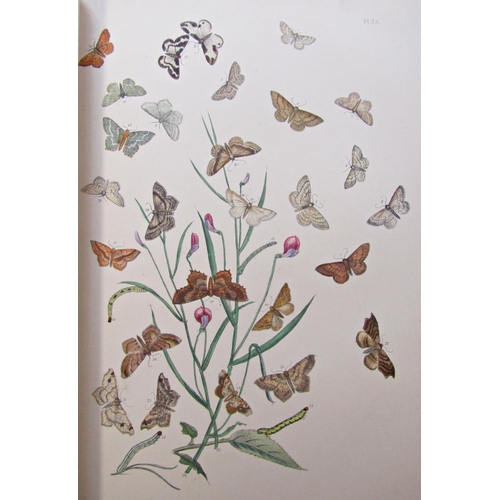 205 - British Butterflies & Their Transformations together with two volumes of British Moths & Their Trans... 