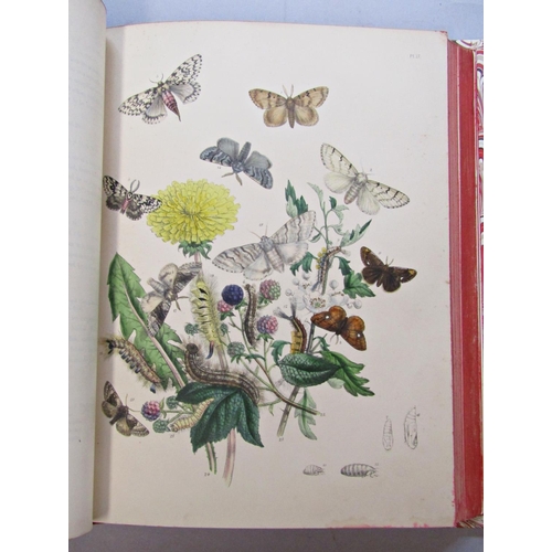 205 - British Butterflies & Their Transformations together with two volumes of British Moths & Their Trans... 