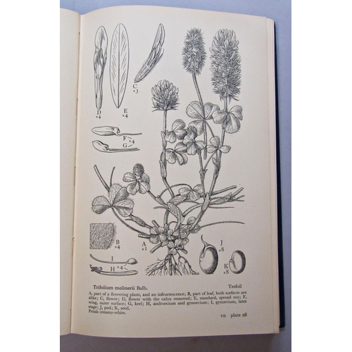 235 - Botanical interest - Maps etc, principally on trees, wetlands, British plants, several copies of The... 