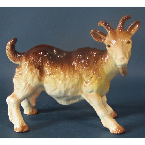 1033 - A Coopercraft porcelain  model of a curly horned ram and a Melba Hereford Bull and Billy Goat (3)