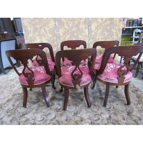 2346 - A set of six Victorian mahogany dining chairs with horseshoe shaped backs, carved and pierced splats... 