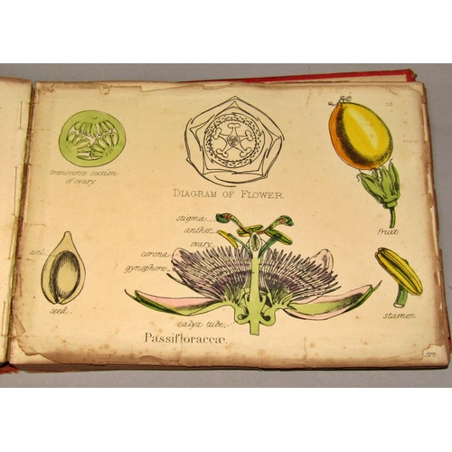 184 - Botanical Interest - Familiar Garden Flowers, by Hulme and Hibbard, four volumes, further books on d... 