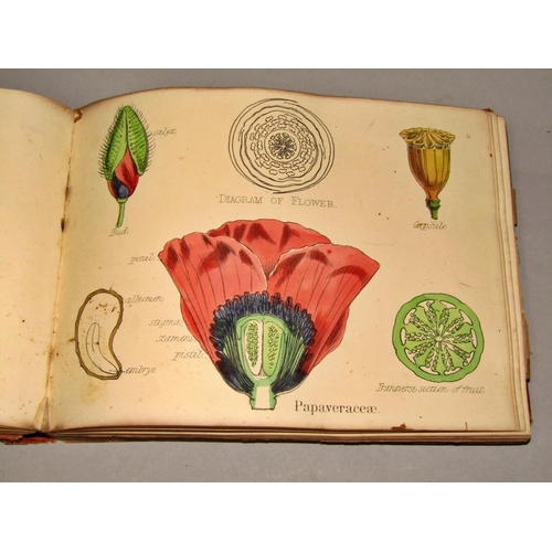 184 - Botanical Interest - Familiar Garden Flowers, by Hulme and Hibbard, four volumes, further books on d... 