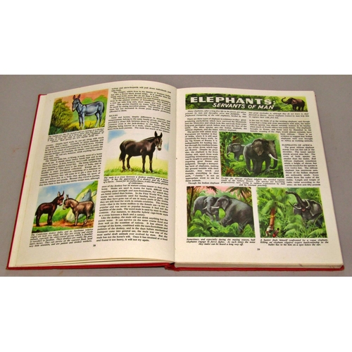 228 - Wildlife Interest - including observers editions, copies of the World of Wildlife, further books on ... 