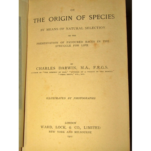 238 - Mixed Interest - two suitcases including works by Thackeray, WB Yeats, number of classics, Origin of... 