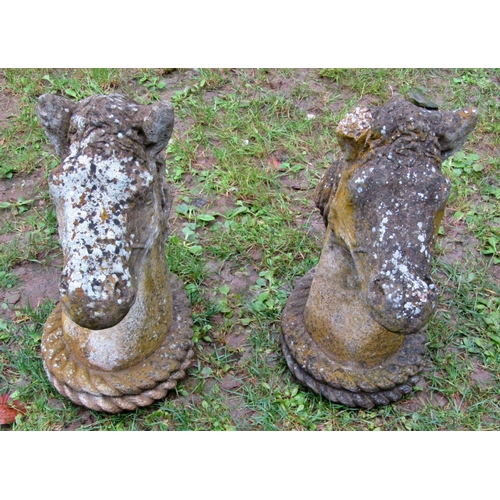 2067 - A pair of weathered cast composition stone pier cap finials in the form of horses heads, 49cm high (... 