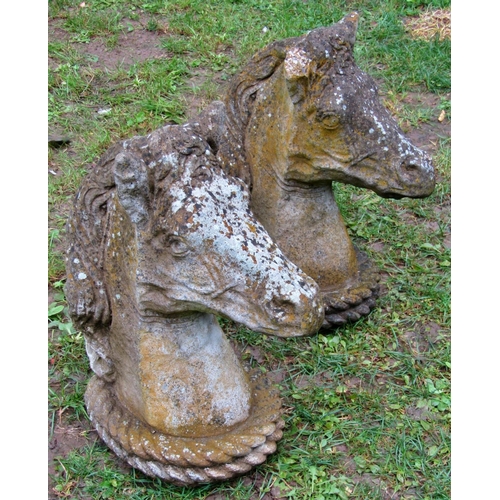 2067 - A pair of weathered cast composition stone pier cap finials in the form of horses heads, 49cm high (... 