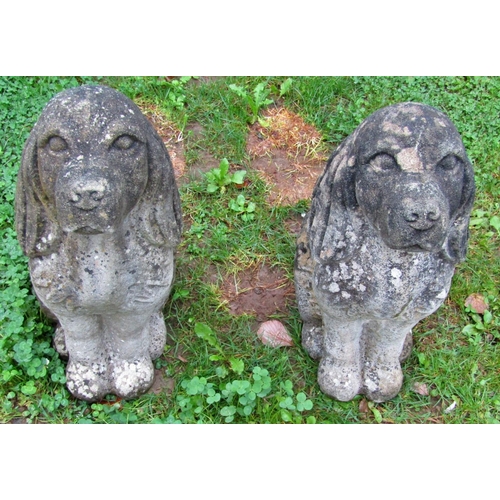 2078 - A pair of nicely weathered cast composition stone garden ornaments in the form of seated spaniels, 5... 