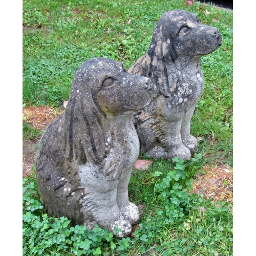 2078 - A pair of nicely weathered cast composition stone garden ornaments in the form of seated spaniels, 5... 