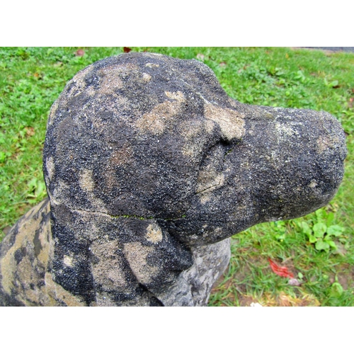 2078 - A pair of nicely weathered cast composition stone garden ornaments in the form of seated spaniels, 5... 