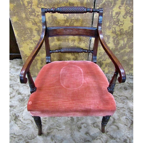 2313 - A set of four Regency mahogany dining chairs one elbow and three matching singles, all with rope twi... 