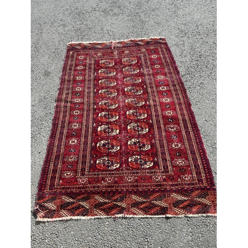 2709 - A Turkoman carpet with two rows of small elephant gul on a predominantly red ground (split and repai... 