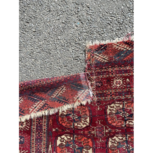 2709 - A Turkoman carpet with two rows of small elephant gul on a predominantly red ground (split and repai... 