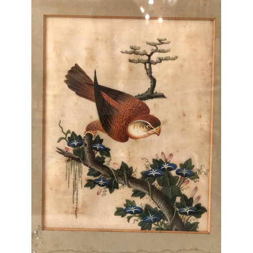 86 - Two 19th Century Chinese Items to include: Pith painting of a kestrel, watercolour on rice paper, 16... 