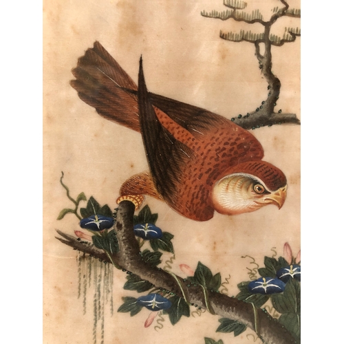 86 - Two 19th Century Chinese Items to include: Pith painting of a kestrel, watercolour on rice paper, 16... 