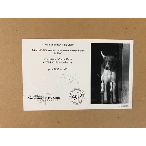 121 - Charles Sainsbury-Plaice (Contemporary) - 'The Expectant-Hound', original limited edition photograph... 