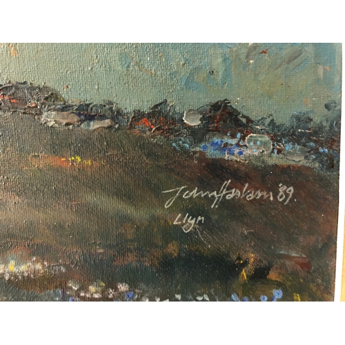 134 - Jenny Haslam (20th century) - 'The Rivals, Llyn', oil on canvas, signed and dated lower right, with ... 