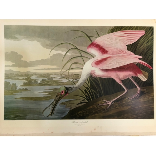 136 - Two vintage colour prints after Robert Havell (original aquatint engravings by Havell dated 1834 and... 