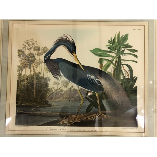 136 - Two vintage colour prints after Robert Havell (original aquatint engravings by Havell dated 1834 and... 