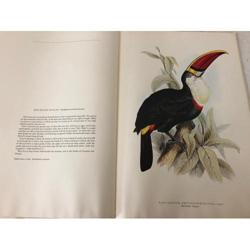 136A - A framed print and book: 'The Birds of Edward Lear' a selection of the 12 finest bird plates of the ... 