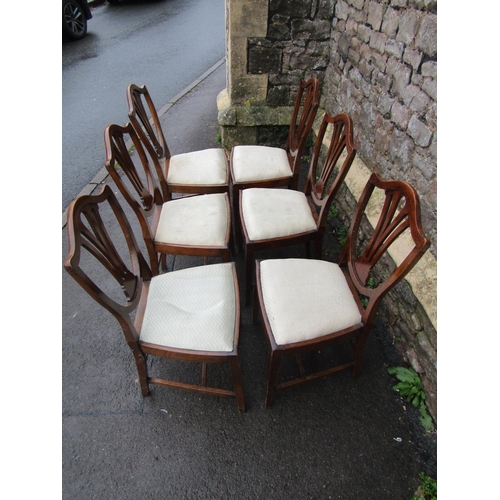 2133 - A set of six Georgian style stained beechwood dining chairs, the shield shaped backs with pierced sp... 